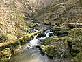 Ehrbachklamm