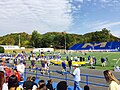 Visitors section