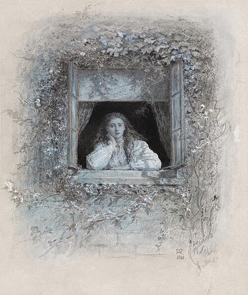 The Window