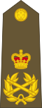 Field marshal