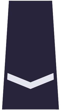 File:POL policja sierżant.svg