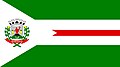 Flag of Morrinhos