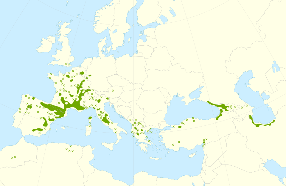File:Buxus sempervirens range.svg