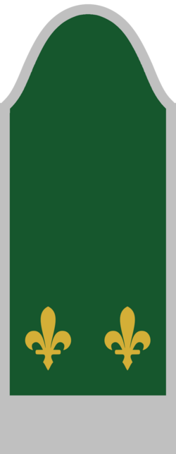 File:Captain---Army-of-the-Republic-of-Bosnia-and-Herzegovina-1992.png