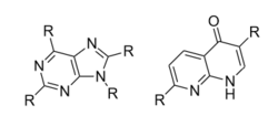 Examples of core structures of bicyclic non-Xanthine based adenosine A2A antagonists