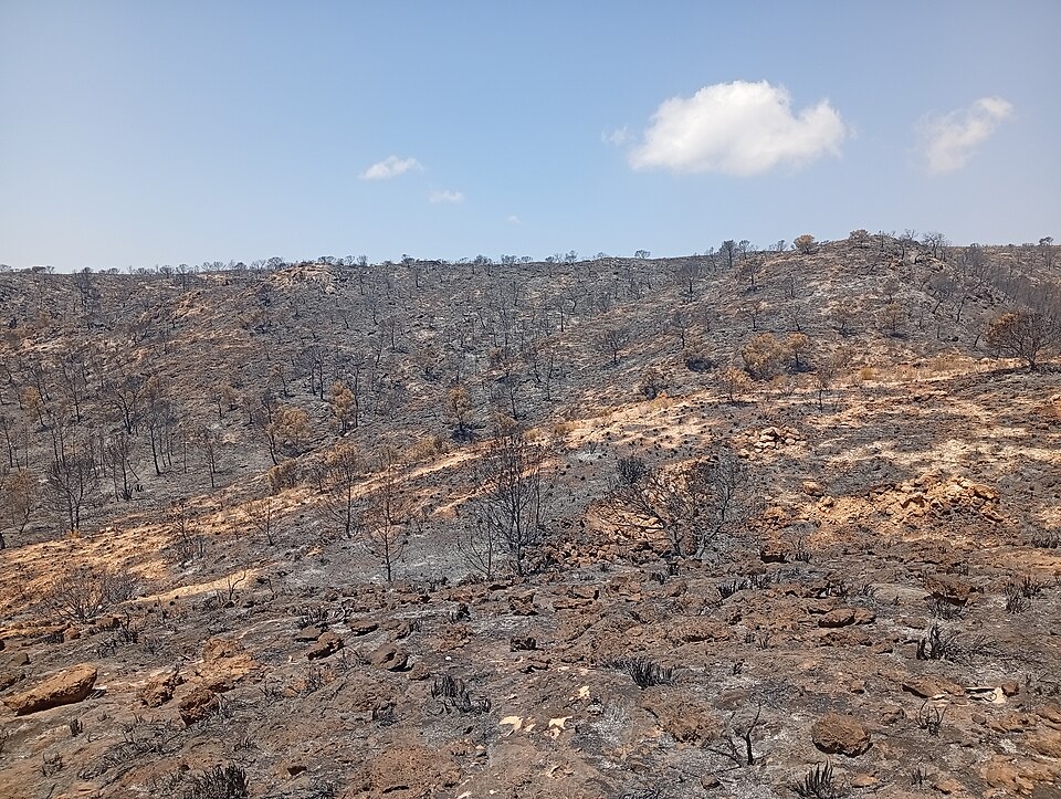 File:Incendio Los Gallardos, Los Pinos 03.jpg