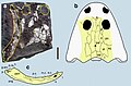 Thumbnail for version as of 22:07, 26 August 2019