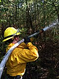 Image 28Wildland firefighter working a brush fire in Hopkinton, New Hampshire, US (from Wildfire)