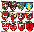 Coats of arms belonging to units from different lands of the Polish Crown which fought at the Battle of Grunwald, including the emblem of Lviv Land (2nd from right in upper row)