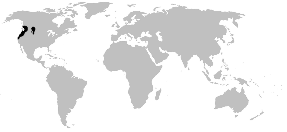 File:Ascaphus range.png