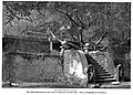 Thumbnail for version as of 02:20, 23 February 2016