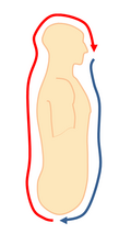 Thumbnail for version as of 19:21, 6 April 2012