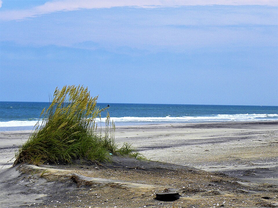 File:Outerbanks north carolina pea island.jpg