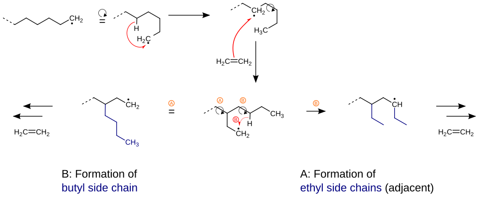 Mechanism for the emergence of side chains during synthesis of polyethylene (PE-LD).