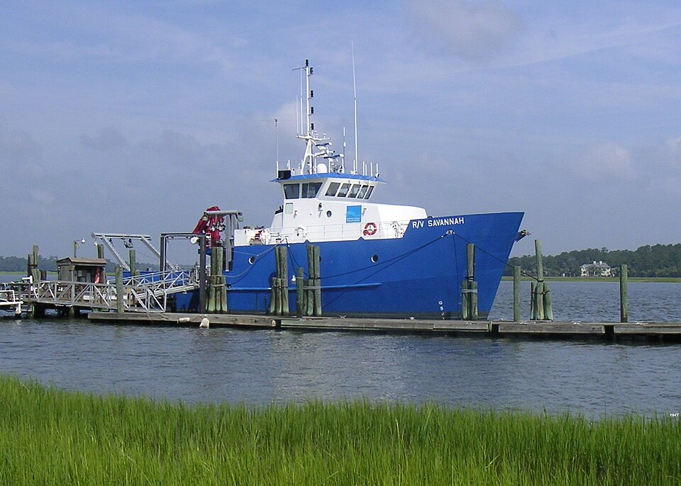 File:RVSavannah2007.JPG
