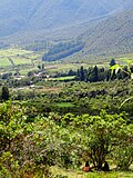 Temperate highland climate  in Sierra La Culata
