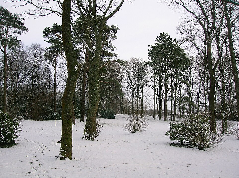 File:Spier's school lawns.JPG