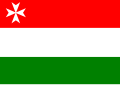 Flag of Sanzoles (please overwrite this file)