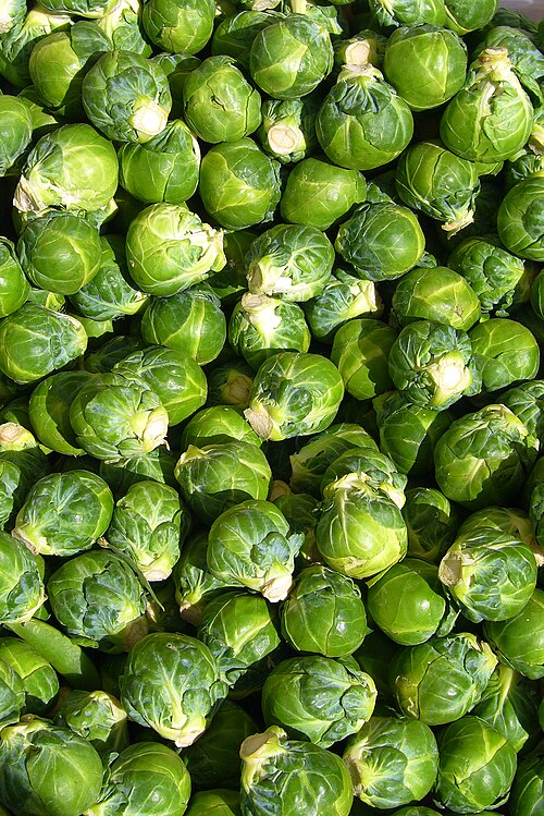 File:Brussels sprout closeup.jpg