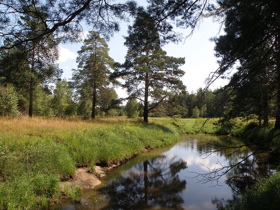 File:Buzha - Tikhonovo.JPG
