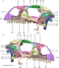 Thumbnail for version as of 01:54, 2 January 2025