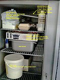 Thumbnail for version as of 07:25, 5 January 2026