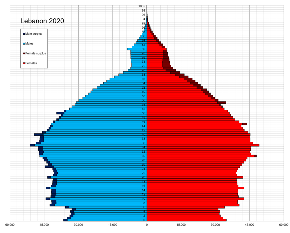 File:Lebanon single age population pyramid 2020.png