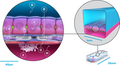 Thumbnail for version as of 15:13, 2 February 2023