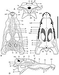 Thumbnail for version as of 19:23, 8 April 2024