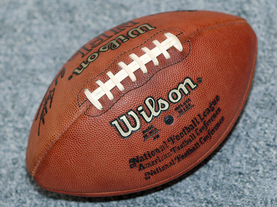 File:Wilson American football.jpg