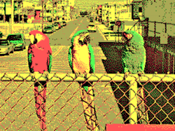 320 × 200 in 4 colors palette 0