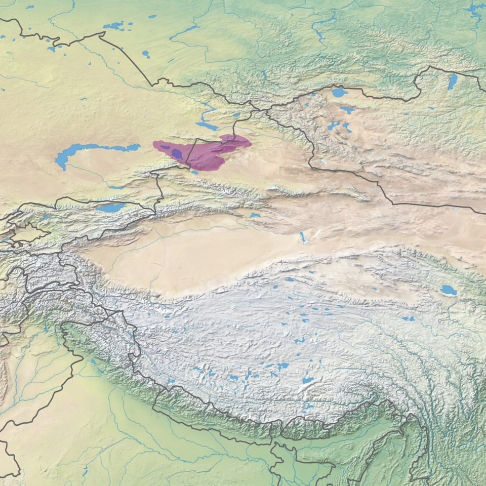 File:Ecoregion PA0806.png