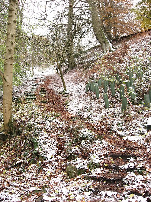 File:Llanfoist Inclines - geograph - 2177478.jpg