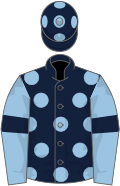 Dark blue, light blue spots, light blue sleeves, dark blue armlets