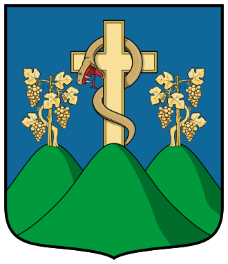 File:Coa Hungary Town Tokaj.svg