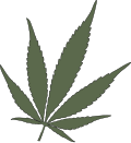 Feuille chanvre.svg