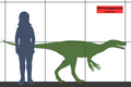Herrerasaurus.
