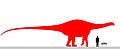 Size chart of Rebbachisaurus