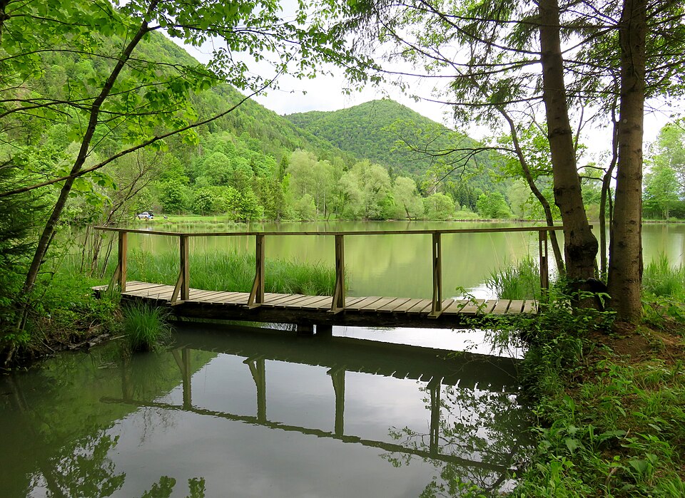 File:Strahomer Pond Slovenia 3.jpg