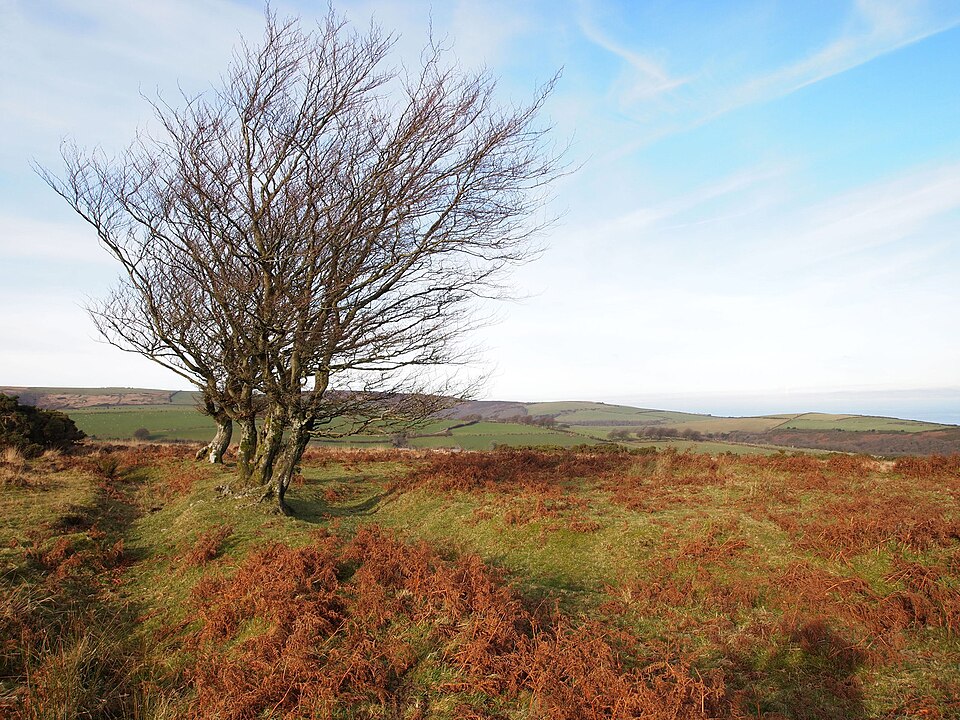 File:The Mound (geograph 3245316).jpg
