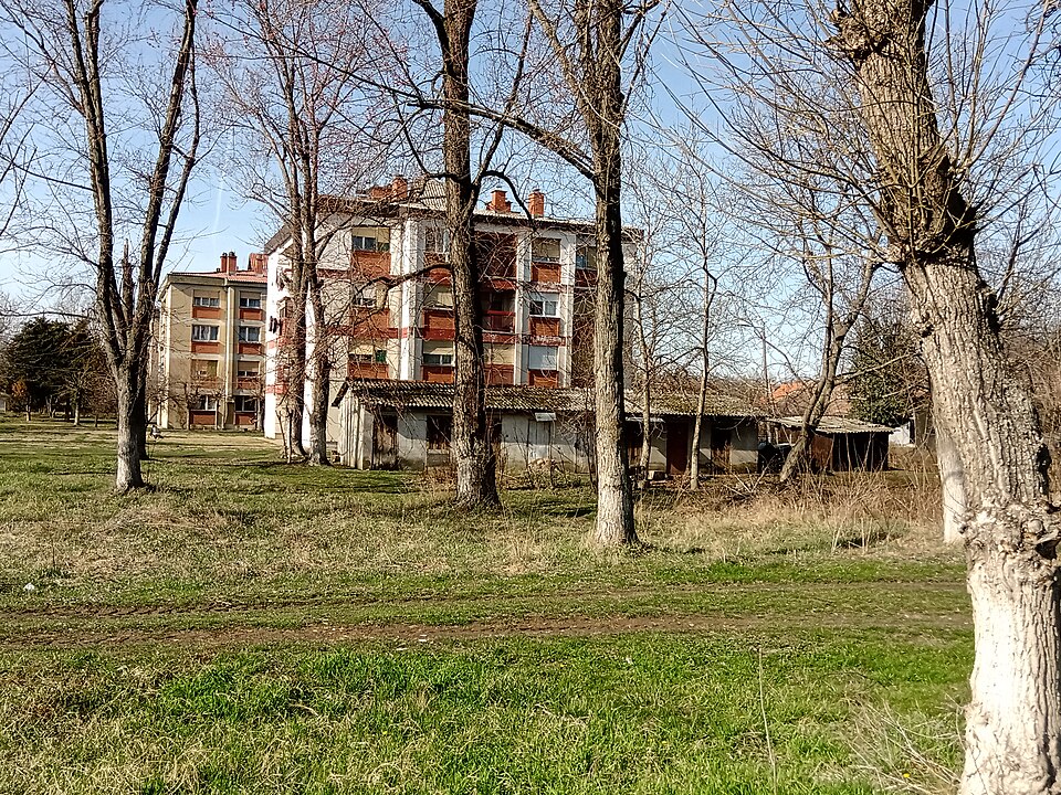 File:Besni Fok 2.jpg