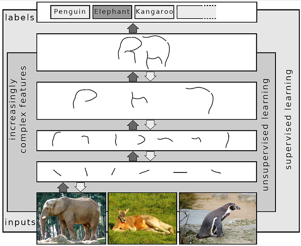 File:Deep Learning.jpg