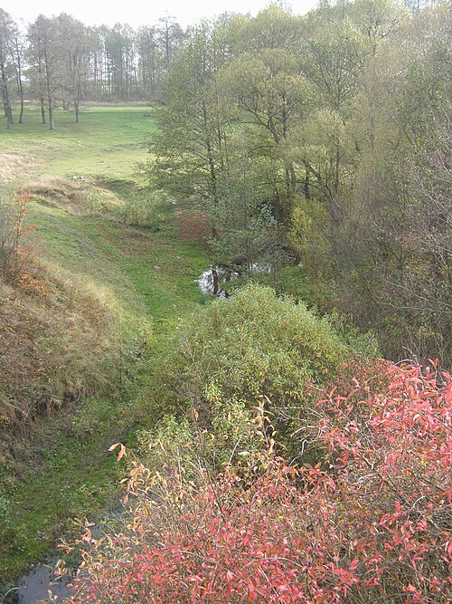 File:Meandry Słomianki.JPG
