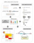 Thumbnail for version as of 04:08, 2 March 2012