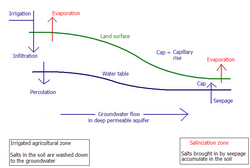 Soil salinization in the lower parts of undulating land with a good aquifer