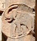 Elephant.