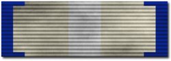 Silver Wikification Ribbon