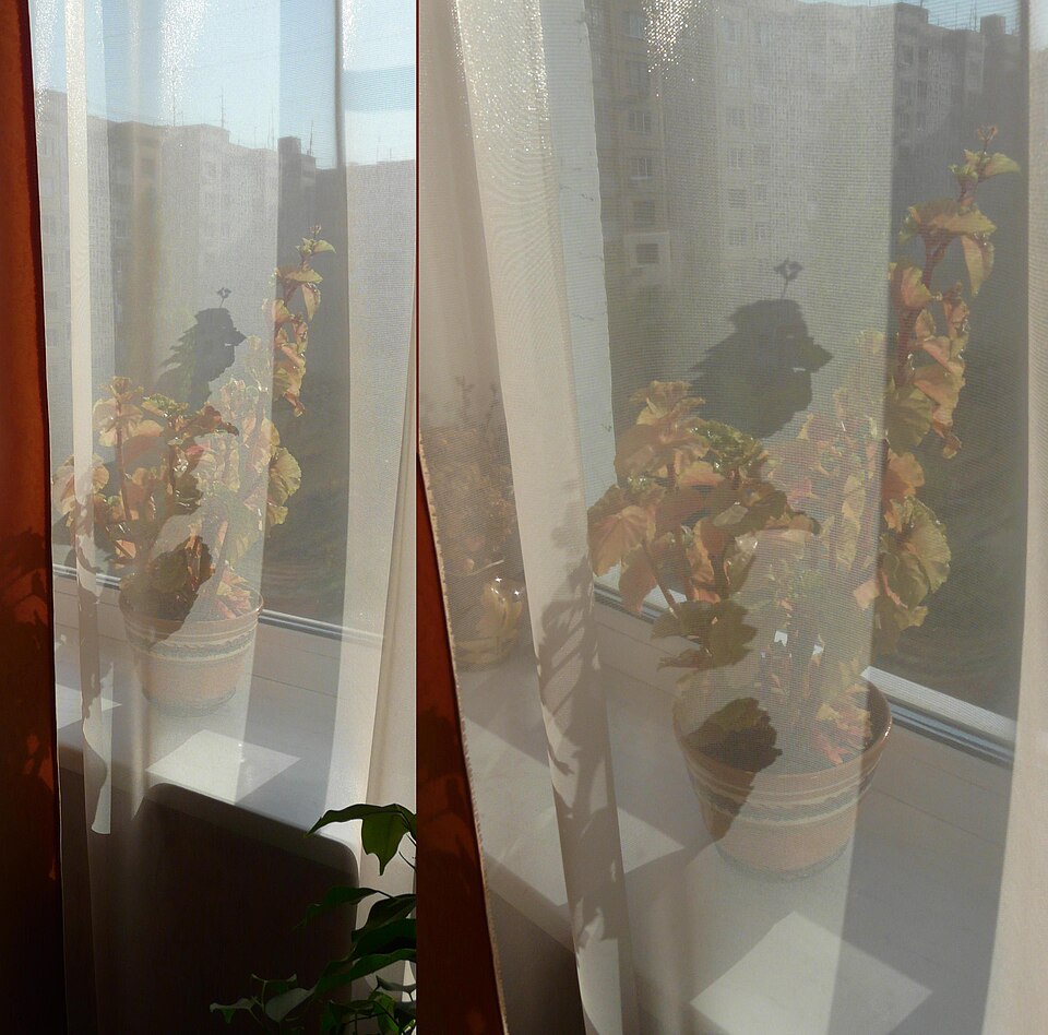 File:Кваритирный.jpg