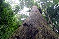 Thumbnail for version as of 08:35, 4 June 2013