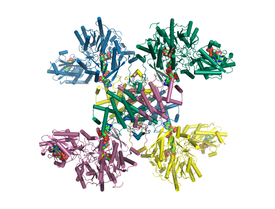 File:6hxh.png